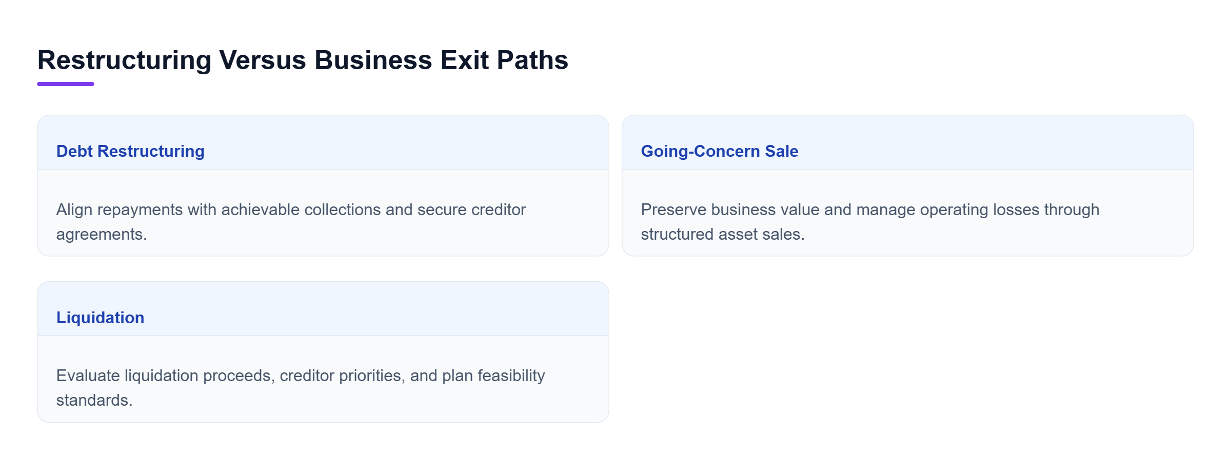 Diagram: Comparison of restructuring strategies, asset sales, and liquidation paths under Chapter 11 rules.